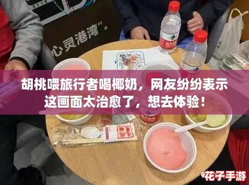 胡桃喂旅行者喝椰奶，网友纷纷表示这画面太治愈了，想去体验！