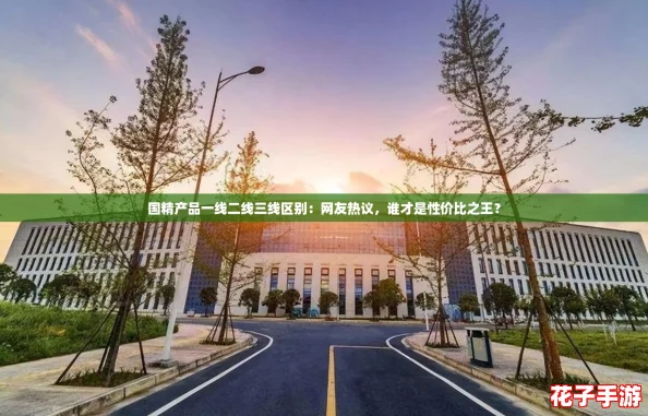 国精产品一线二线三线区别：网友热议，谁才是性价比之王？