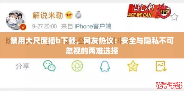 禁用大尺度插b下载，网友热议：安全与隐私不可忽视的两难选择