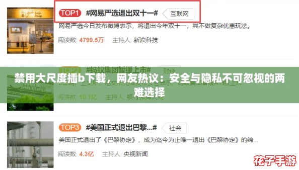禁用大尺度插b下载，网友热议：安全与隐私不可忽视的两难选择