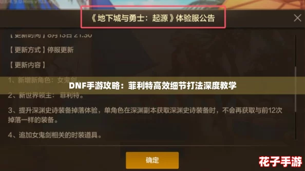 DNF手游攻略：菲利特高效细节打法深度教学