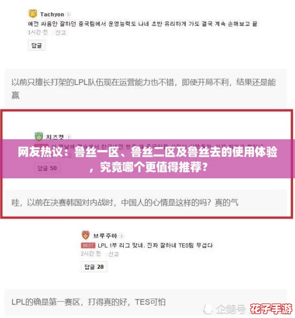 网友热议：鲁丝一区、鲁丝二区及鲁丝去的使用体验，究竟哪个更值得推荐？
