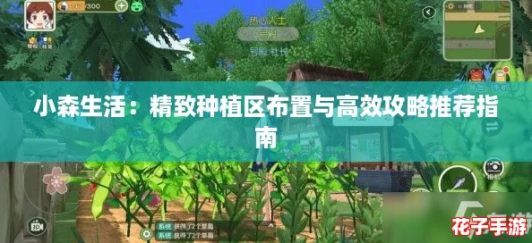 小森生活：精致种植区布置与高效攻略推荐指南