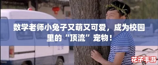 数学老师小兔子又萌又可爱，成为校园里的“顶流”宠物！