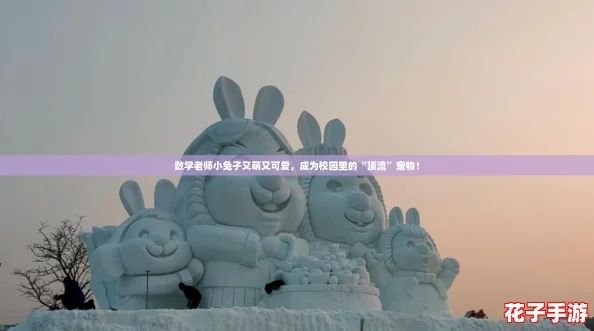 数学老师小兔子又萌又可爱，成为校园里的“顶流”宠物！