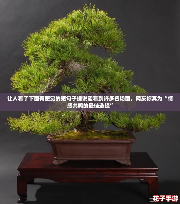 让人看了下面有感觉的短句子据说能看到许多名场面，网友称其为“情感共鸣的最佳选择”