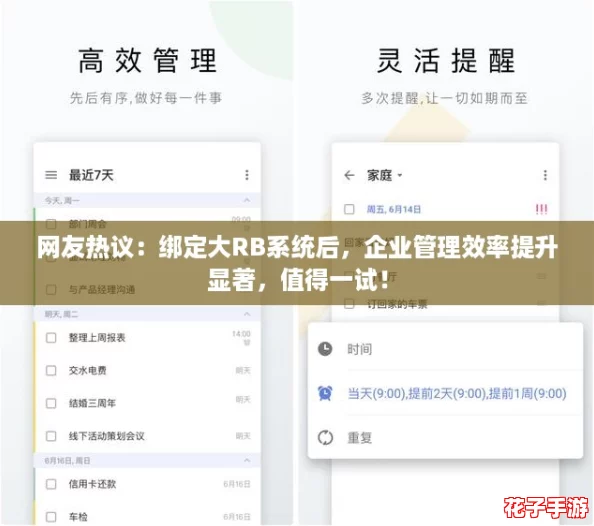 网友热议：绑定大RB系统后，企业管理效率提升显著，值得一试！