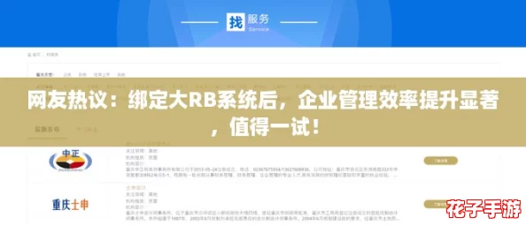 网友热议：绑定大RB系统后，企业管理效率提升显著，值得一试！