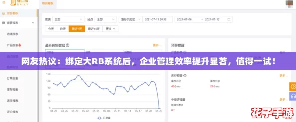 网友热议：绑定大RB系统后，企业管理效率提升显著，值得一试！