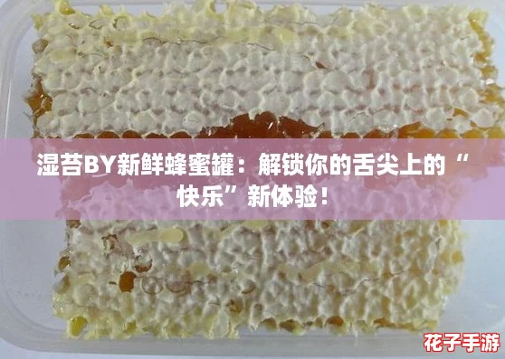 湿苔BY新鲜蜂蜜罐：解锁你的舌尖上的“快乐”新体验！