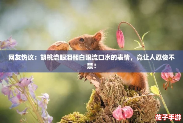 网友热议:胡桃流眼泪翻白眼流口水的表情,竟让人忍俊不禁! 网友热议:胡桃流眼泪翻白眼流口水的表情,竟让人忍俊不禁!