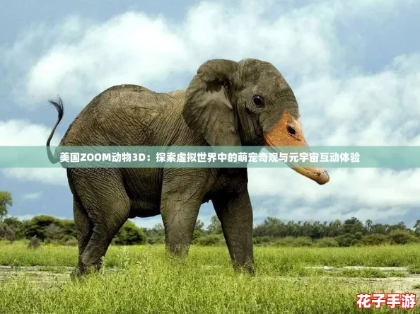 美国ZOOM动物3D：探索虚拟世界中的萌宠奇观与元宇宙互动体验
