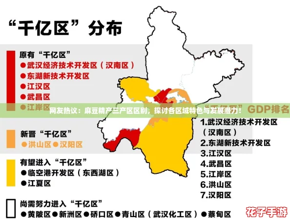 网友热议：麻豆精产三产区区别，探讨各区域特色与发展潜力！