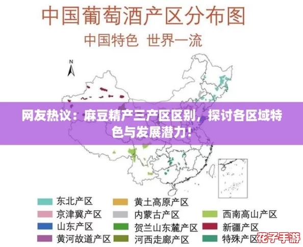 网友热议:麻豆精产三产区区别,探讨各区域特色与发展潜力! 网友热议:麻豆精产三产区区别,探讨各区域特色与发展潜力!