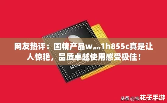网友热评：国精产品w灬1h855c真是让人惊艳，品质卓越使用感受极佳！