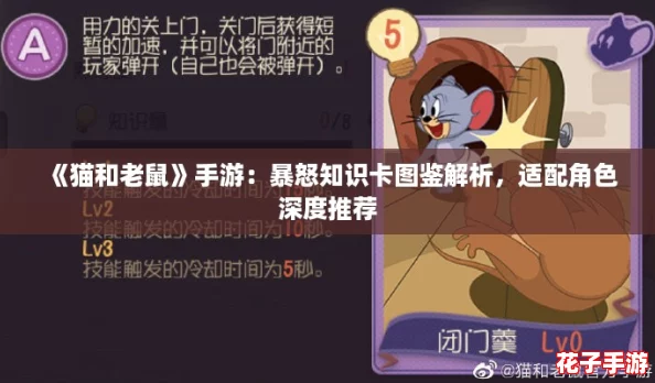 《猫和老鼠》手游：暴怒知识卡图鉴解析，适配角色深度推荐