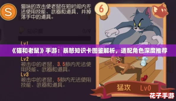 《猫和老鼠》手游：暴怒知识卡图鉴解析，适配角色深度推荐