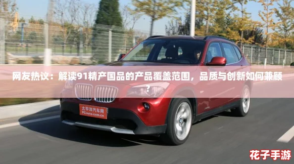 网友热议：解读91精产国品的产品覆盖范围，品质与创新如何兼顾？
