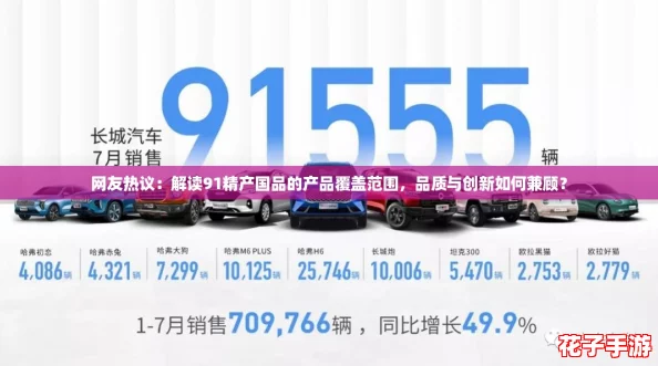 网友热议：解读91精产国品的产品覆盖范围，品质与创新如何兼顾？