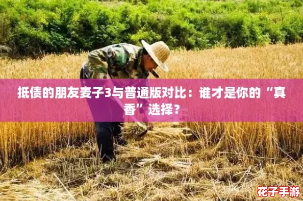 抵债的朋友麦子3与普通版对比：谁才是你的“真香”选择？