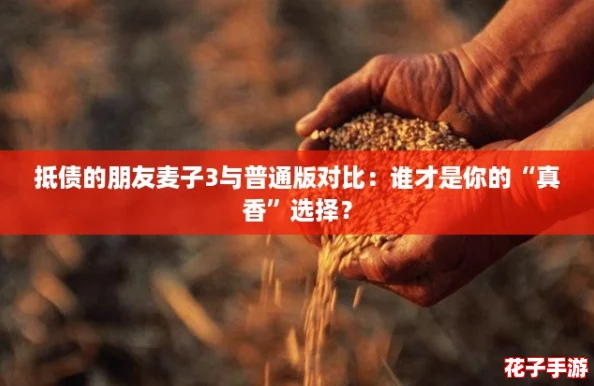抵债的朋友麦子3与普通版对比：谁才是你的“真香”选择？