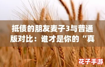 抵债的朋友麦子3与普通版对比：谁才是你的“真香”选择？