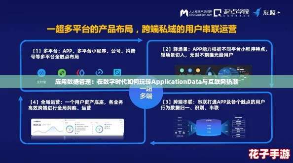 应用数据管理：在数字时代如何玩转ApplicationData与互联网热潮