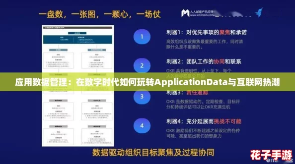 应用数据管理:在数字时代如何玩转ApplicationData与互联网热潮 应用数据管理:在数字时代如何玩转ApplicationData与互联网热潮