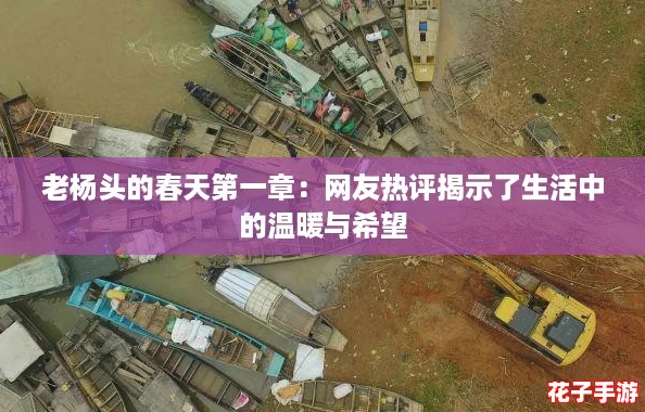 老杨头的春天第一章：网友热评揭示了生活中的温暖与希望