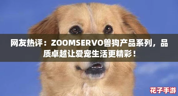 网友热评：ZOOMSERVO兽狗产品系列，品质卓越让爱宠生活更精彩！