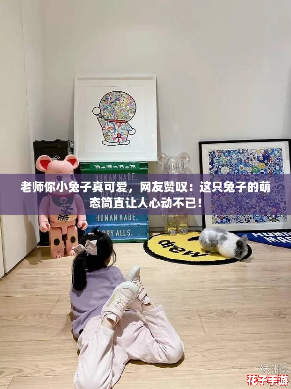 老师你小兔子真可爱，网友赞叹：这只兔子的萌态简直让人心动不已！