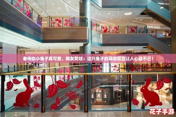 老师你小兔子真可爱，网友赞叹：这只兔子的萌态简直让人心动不已！