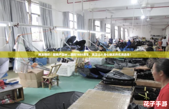 网友热评：国精产品W灬源码1688养生，真正让人身心焕发的优质选择！