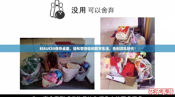ESSUCSS保存桌面，轻松管理你的数字生活，告别混乱时代！