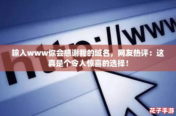 输入www你会感谢我的域名，网友热评：这真是个令人惊喜的选择！