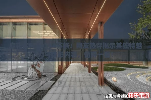 麻花传MD0144苏畅：网友热评揭示其独特魅力与精彩内容，值得一看！