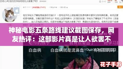 神秘电影五条路线建议截图保存，网友热评：这部影片真是让人欲罢不能！