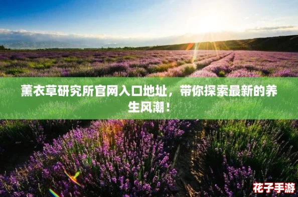 薰衣草研究所官网入口地址，带你探索最新的养生风潮！