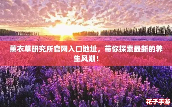 薰衣草研究所官网入口地址,带你探索最新的养生风潮! 薰衣草研究所官网入口地址,带你探索最新的养生风潮!