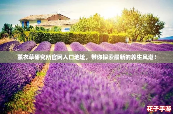 薰衣草研究所官网入口地址,带你探索最新的养生风潮! 薰衣草研究所官网入口地址,带你探索最新的养生风潮!