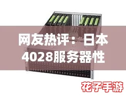 网友热评：日本4028服务器性能强劲，游戏体验飞跃提升！