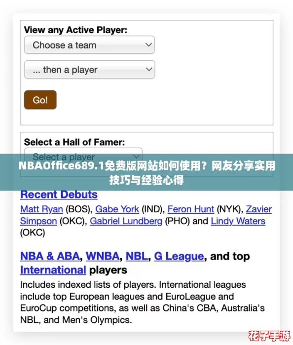 NBAOffice689.1免费版网站如何使用？网友分享实用技巧与经验心得