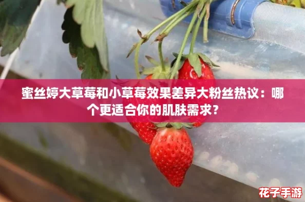 蜜丝婷大草莓和小草莓效果差异大粉丝热议：哪个更适合你的肌肤需求？