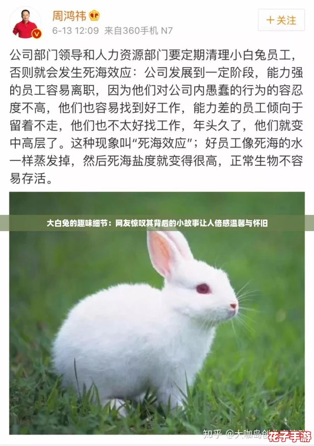 大白兔的趣味细节：网友惊叹其背后的小故事让人倍感温馨与怀旧