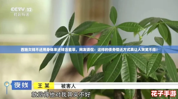 西施欠钱不还用身体来还钱含羞草，网友调侃：这样的债务偿还方式真让人哭笑不得！