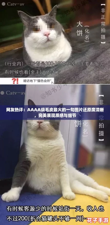 网友热评：AAAA级毛皮最火的一句图片还原度清晰，完美展现质感与细节