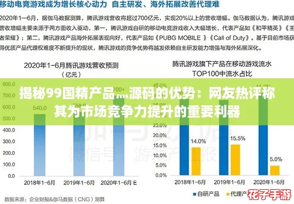 揭秘99国精产品灬源码的优势：网友热评称其为市场竞争力提升的重要利器