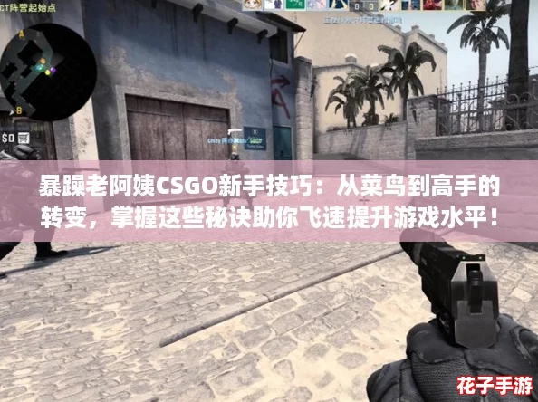 暴躁老阿姨CSGO新手技巧：从菜鸟到高手的转变，掌握这些秘诀助你飞速提升游戏水平！