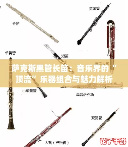 萨克斯黑管长笛：音乐界的“顶流”乐器组合与魅力解析