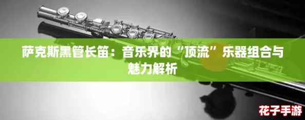 萨克斯黑管长笛：音乐界的“顶流”乐器组合与魅力解析